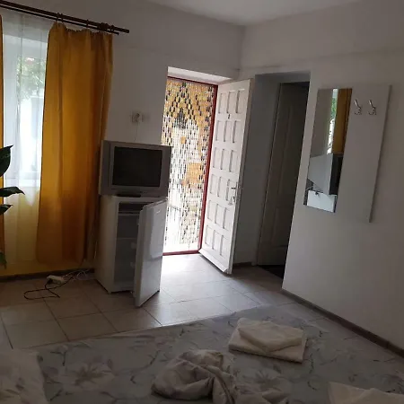 Casa Zibileanu *