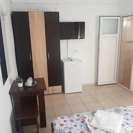 Casa Zibileanu *